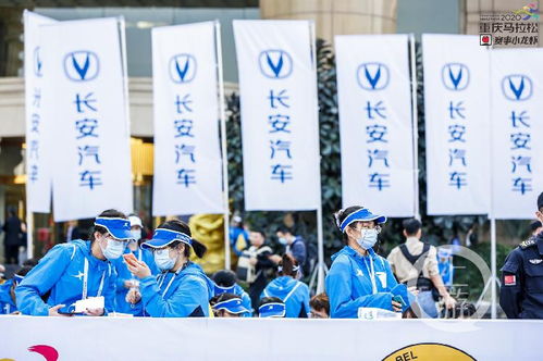 重馬十年 | 年入百萬，重馬造就財富新機遇——重慶創(chuàng)業(yè)團(tuán)隊順富醫(yī)藥的崛起之路